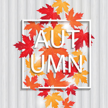 vector frame with colored autumn leaves on board background