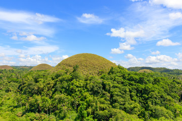 Fototapeta na wymiar Chocolate Hills in Bohol, Philippines
