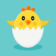 Cute chick in egg shells. Vector illustration