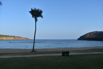 Hanuama Bay Beach and park Oahu Island Hawaii USA