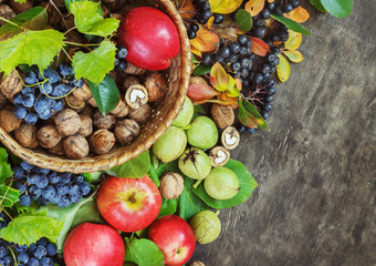 Assortment organic fruits berries apple grape damascene walnut rowanberry dark wooden country background health care natural concept top view