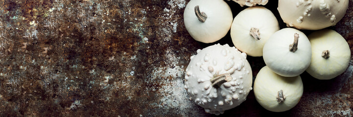 Happy Thanksgiving Banner. Little white pumpkins on rustic metal background with copy space. Autumn Harvest and Holiday minimal still life.