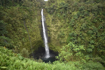Akaka  Waterfalls Big Island Hawaii USA
