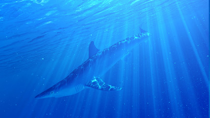 3d rendered illustration of a blue shark