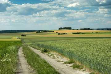 Long road through fields, copses in the hills and a cloudy sky