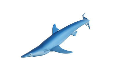3d rendered illustration of a blue shark