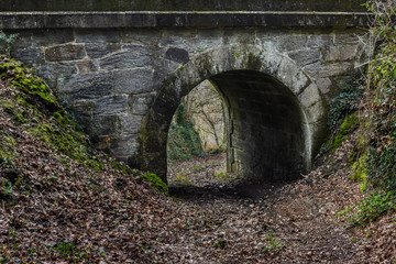 Viejo puente del tren