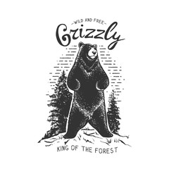 Vintage badge.Grizzly bear in the forest.Vector illustration