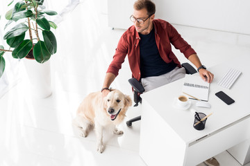 handsome businessman and golden retriever dog in modern office
