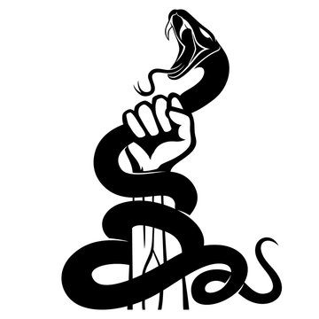 Black snake in hand on white background.