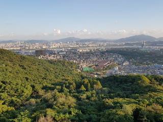 산에서 내려다 본 풍경