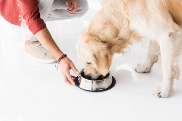 cropped view of man feeding golden retriever from dog bowl