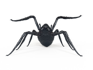 3d rendered illustration of a giant spider