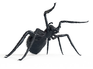 3d rendered illustration of a giant spider