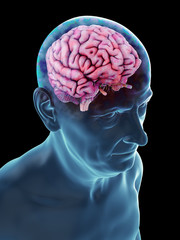 3d rendered medically accurate illustration of an old mans brain