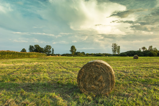 Round hay bale in a meadow and clouds in the sky