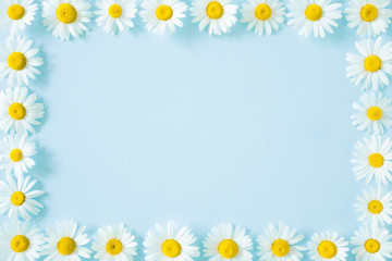 Beautiful, fresh white daisies on pastel blue background. Wild flowers. Soft light color. Mockup for positive idea. Empty place for inspirational, emotional, sentimental text, quote or sayings. 