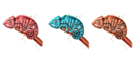 Chameleon watercolor Vector set. Colorful painted style illustrations © castecodesign