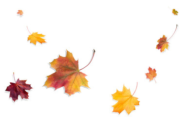 Autumn falling leaves. Autumn design. Templates for placards, banners, flyers, presentations, reports.