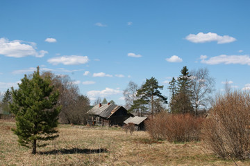 Fototapeta premium rural rusttic fence
