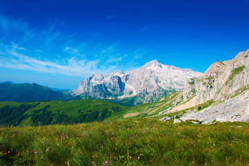 Fototapeta premium Fisht