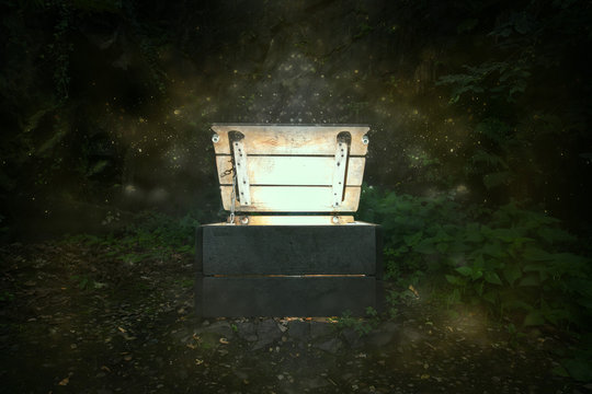 Mystische Kiste im Wald 