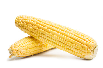 Maíz natural y crudo sobre fondo blanco aislado. Vista de frente y de cerca. Copy space