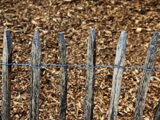 simple rustic fence, untreated wooden posts, weathered, coupled with wire, in strong blurred...