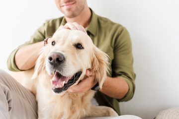 cropped view of man stroking golden retriever dog