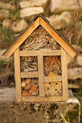 Insect hotel isolated
