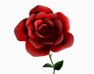 Rote Rose an langem Stiel 