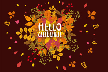 Hello Autumn, background with falling leaves, yellow, orange, brown, fall, lettering, template for poster, banner, vector, isolated