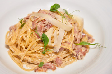 Spaghetti on white plate