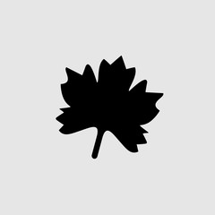 Leaf vector iliustration