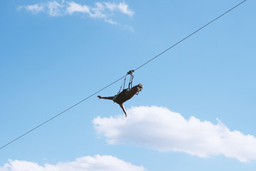unrecognizable person ziplining with zip line, adventure sport concept, low angle view against sky