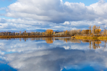 Fototapeta premium Clouds and color reflected in the calm waters of a slough in autumn in northwestern Montana