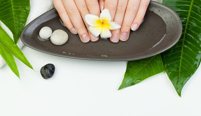 Spa manicure top view with flowers, green leaves, towel