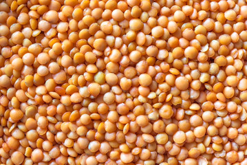 Red lentils: top view