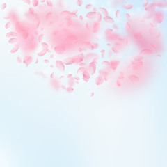 Sakura petals falling down. Romantic pink flowers semicircle. Flying petals on blue sky square backg