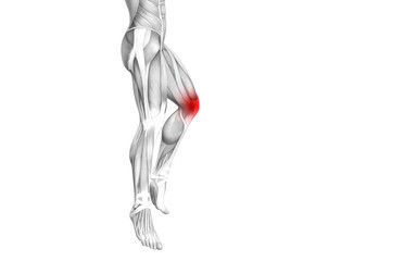 Conceptual knee human anatomy with red hot spot inflammation or articular joint pain for leg health care therapy or sport muscle concepts. 3D illustration man arthritis or bone osteoporosis disease