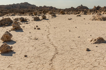 Line in Cracking Dirt Bed