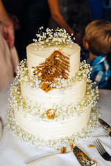 wedding cake three floors outside in the evening