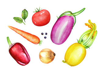 A collection of watercolor hand drawn vegetables. Traditional ingredients for vegetable stew.