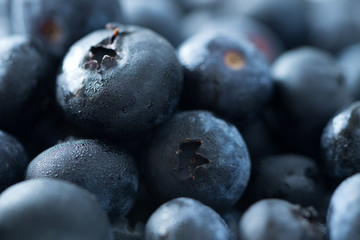 Close up of fresh blueberries fruit background with mist
