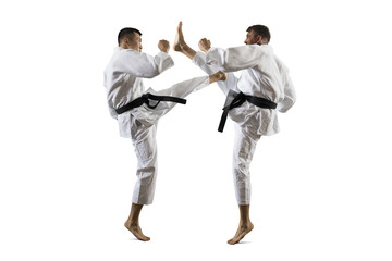Martial arts masters, karate practice © Andrey Burmakin