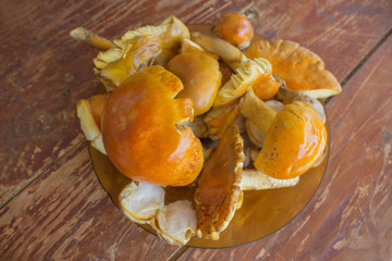 edible and delicious amanita caesarea mushroom on the plate