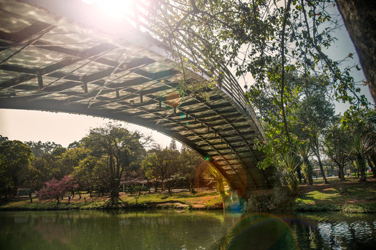 Bellow view of a ibirapuera's bridge with trees in the background and a big lake in the ground, in S&atilde;o Paulo. City, tourism, peaceful place, parks, is the concept