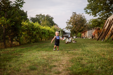 Happy playful little boy running thru the backyard on his grandparents animal farm. Happy childhood.