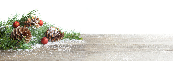 Pine cone and branch