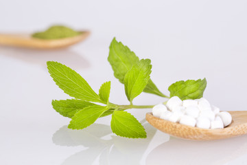 Stevia Sweetener Pills - Stevia rebaudiana
